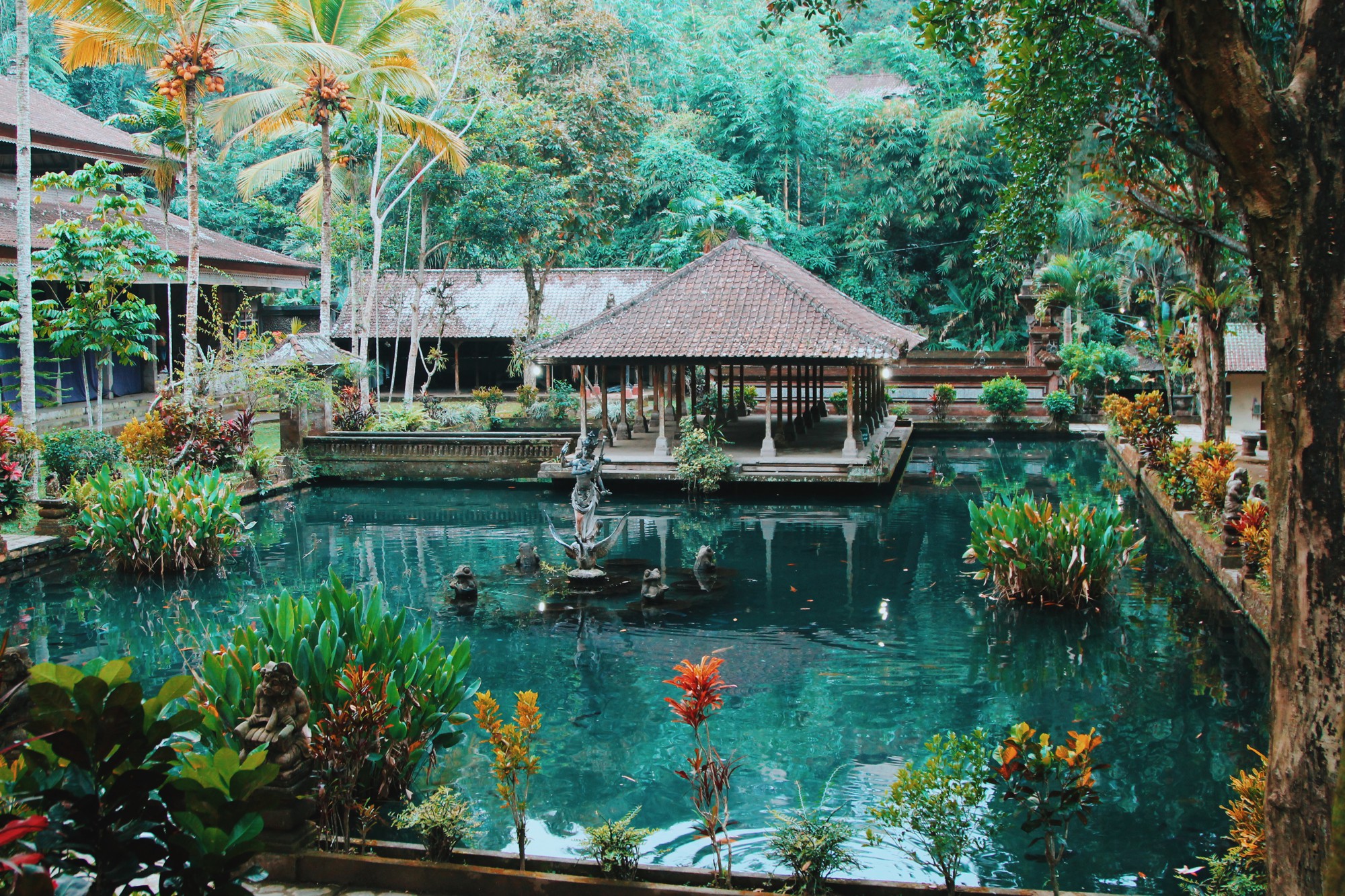 This Is Perhaps The Best View In Bali! - Hand Luggage Only - Travel