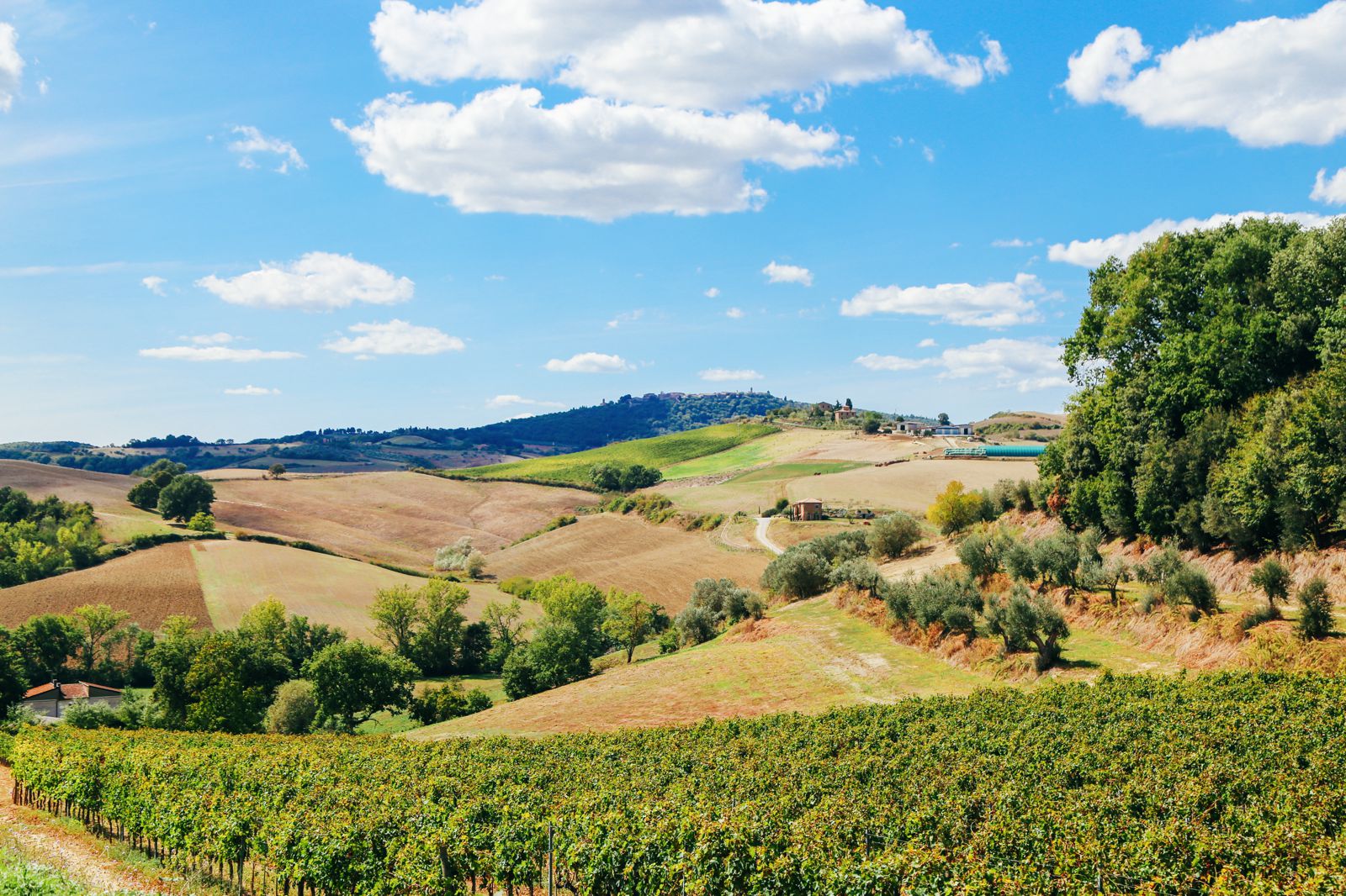 The Tuscan Countryside - Hand Luggage Only - Travel, Food & Photography ...