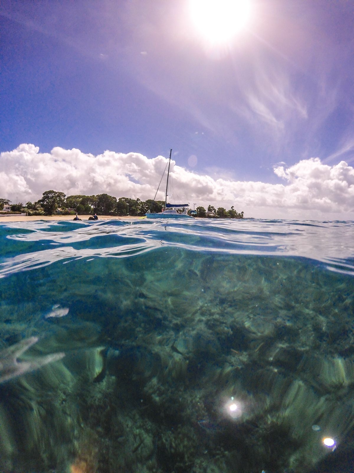 The Best Caribbean Sailing Experience To Swim With Turtles In Barbados