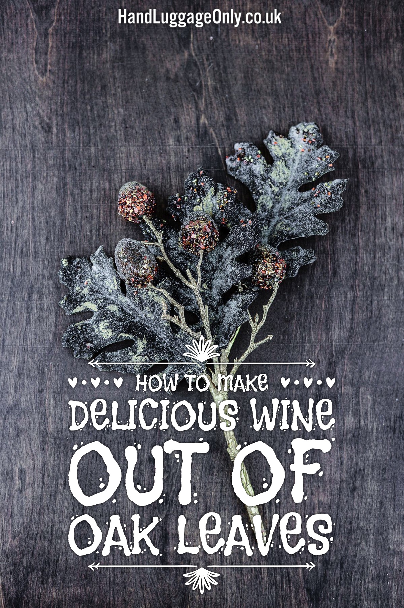 how-to-make-delicious-wine-out-of-oak-leaves-hand-luggage-only