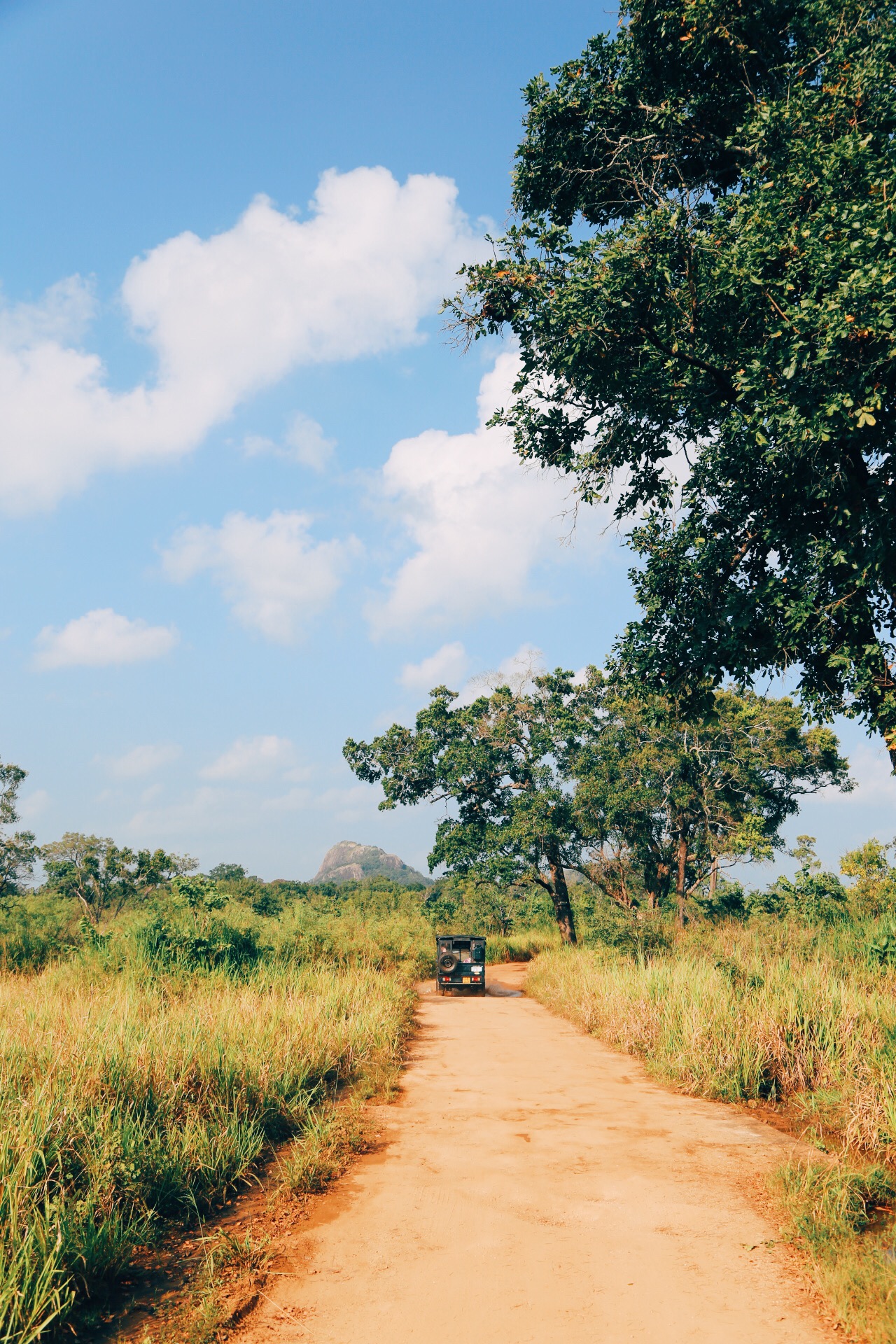 Scenes from Sri Lanka (6)