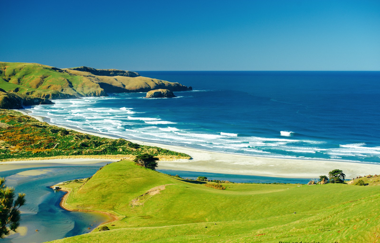 10 Beaches You Have To Visit In New Zealand Hand Luggage Only