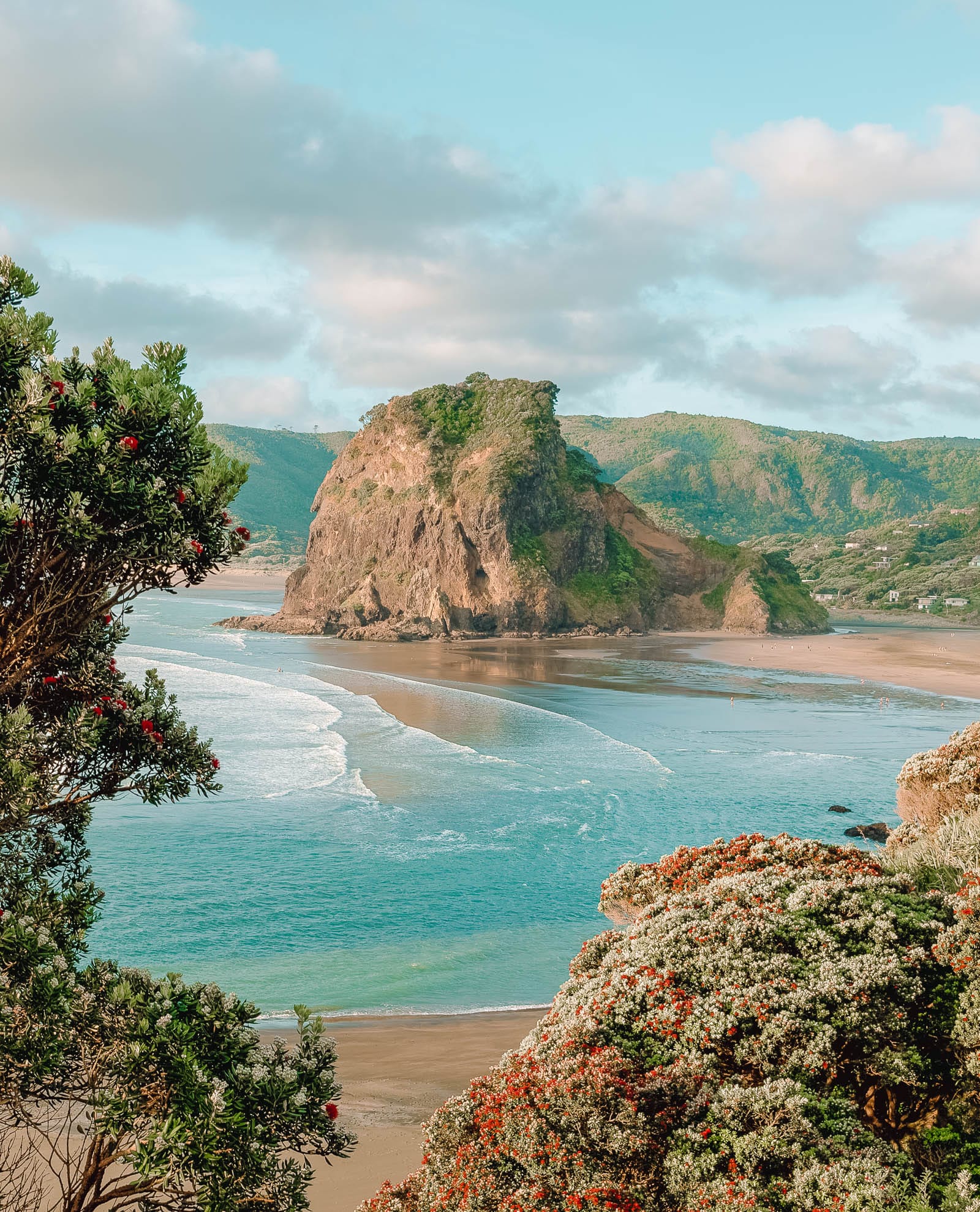 10 Best Beaches In New Zealand To Visit - Hand Luggage ...