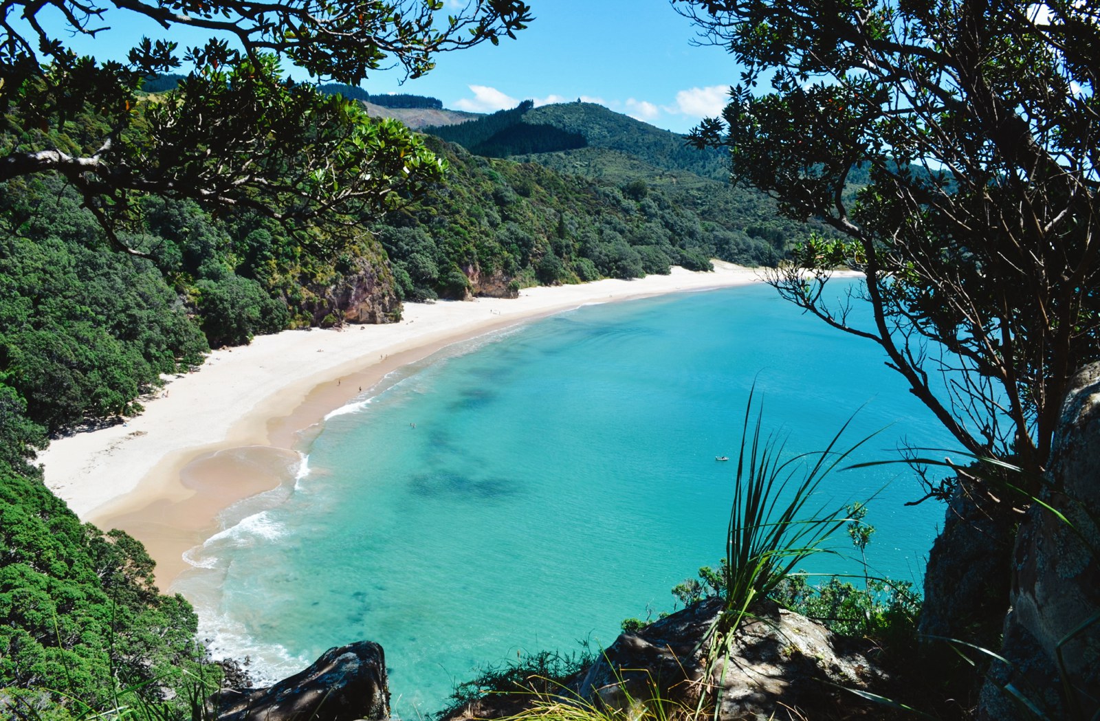 10 Beaches You Have To Visit In New Zealand - Hand Luggage Only