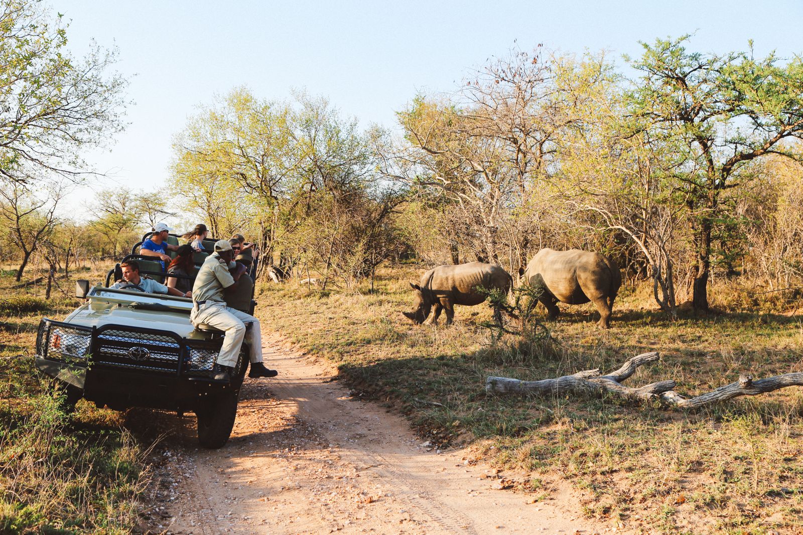 11 Essential Items You Need To Pack On Your Safari In South Africa