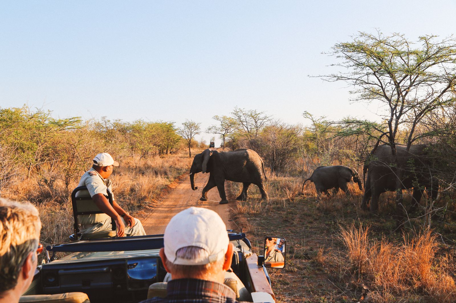 south africa safari what to pack