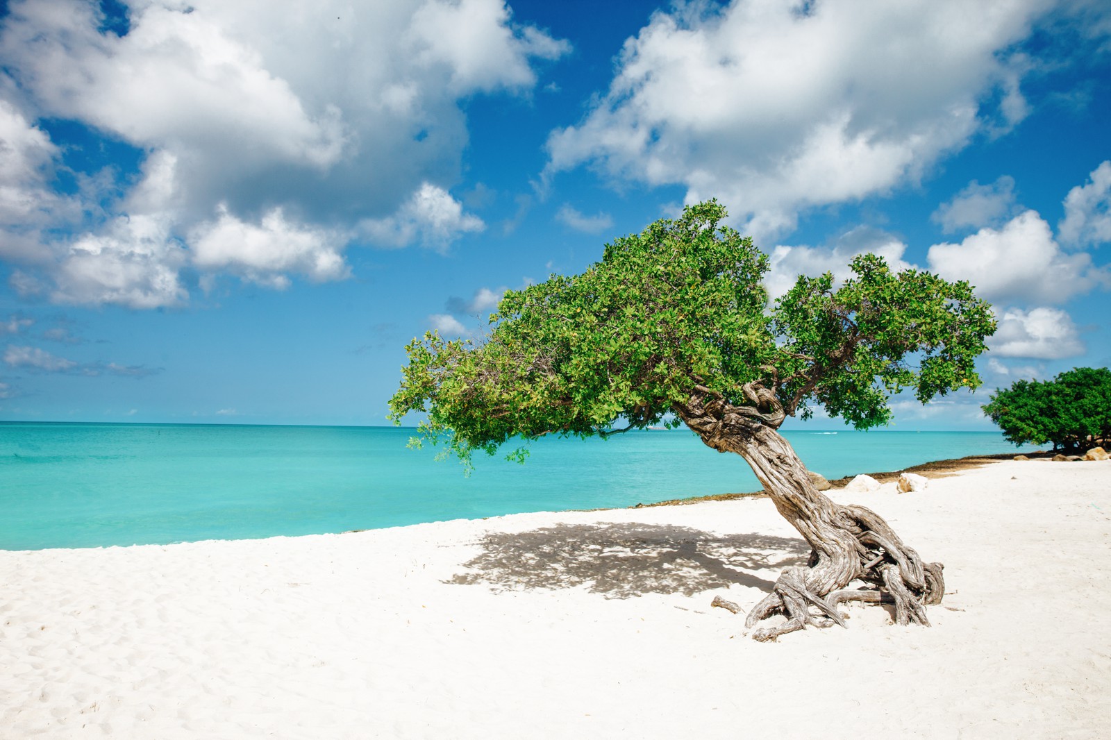 8 Fun Experiences You Need To Have In The Caribbean Island Of Aruba