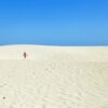 Sand Dunes And Windmills In Fuerteventura