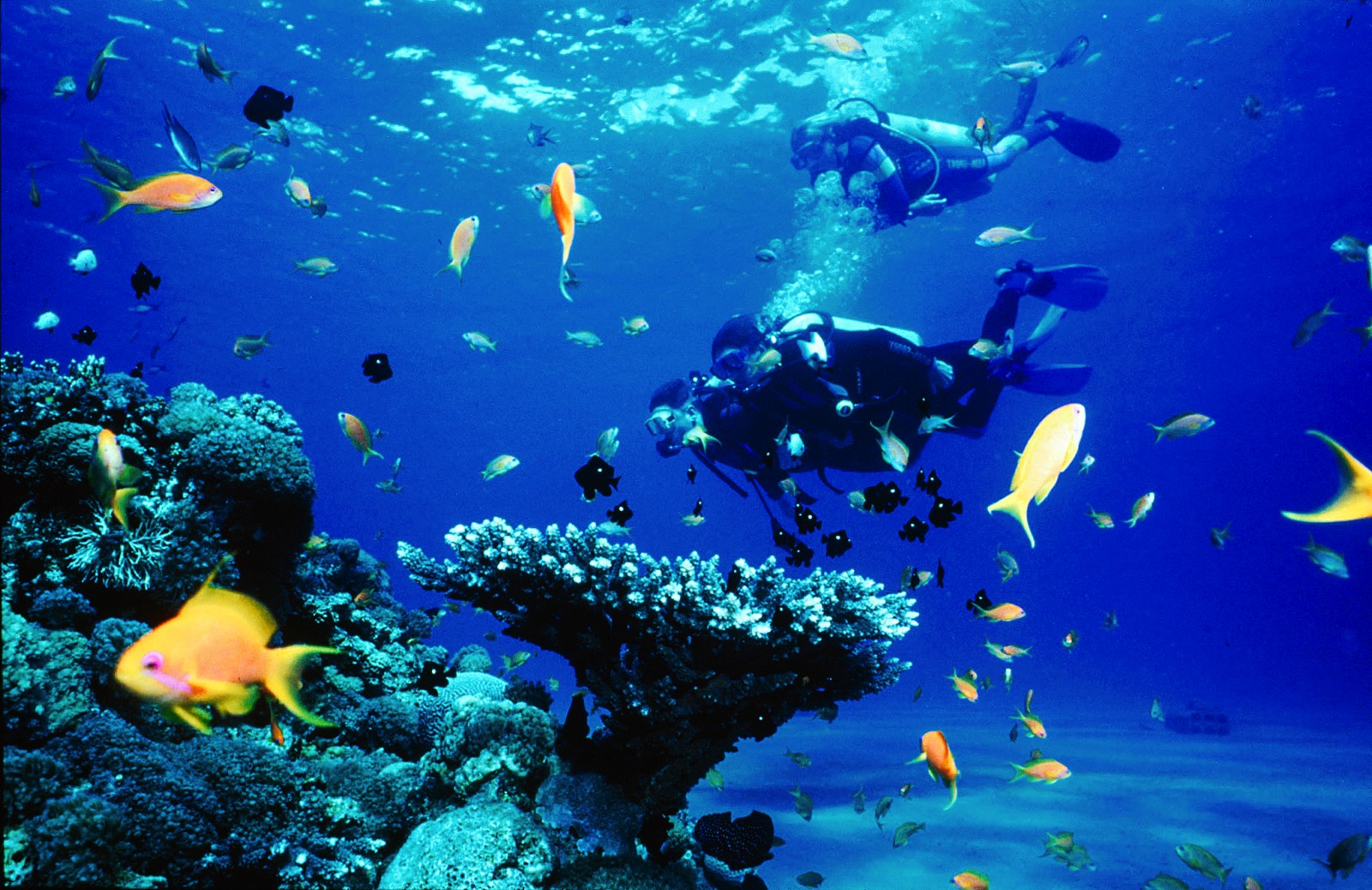 8 Fun Experiences You Need To Have In The Caribbean Island Of Aruba (3)