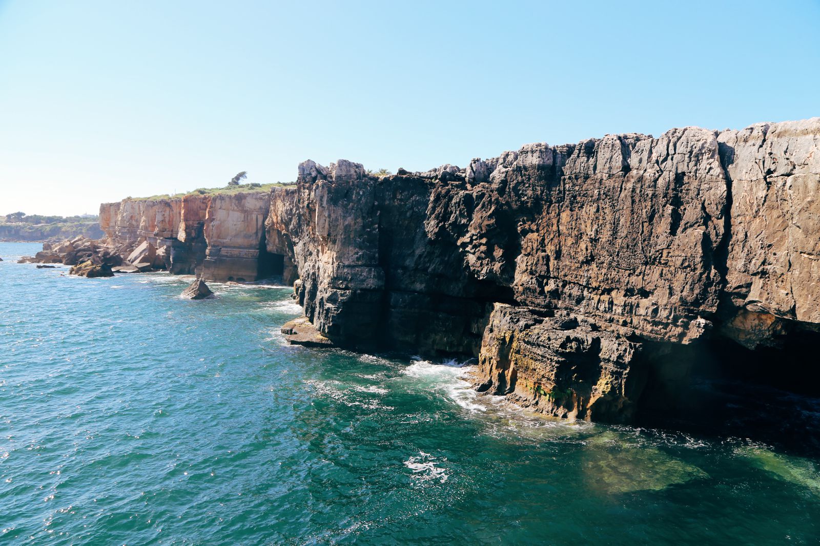 Urso  Boca do Inferno