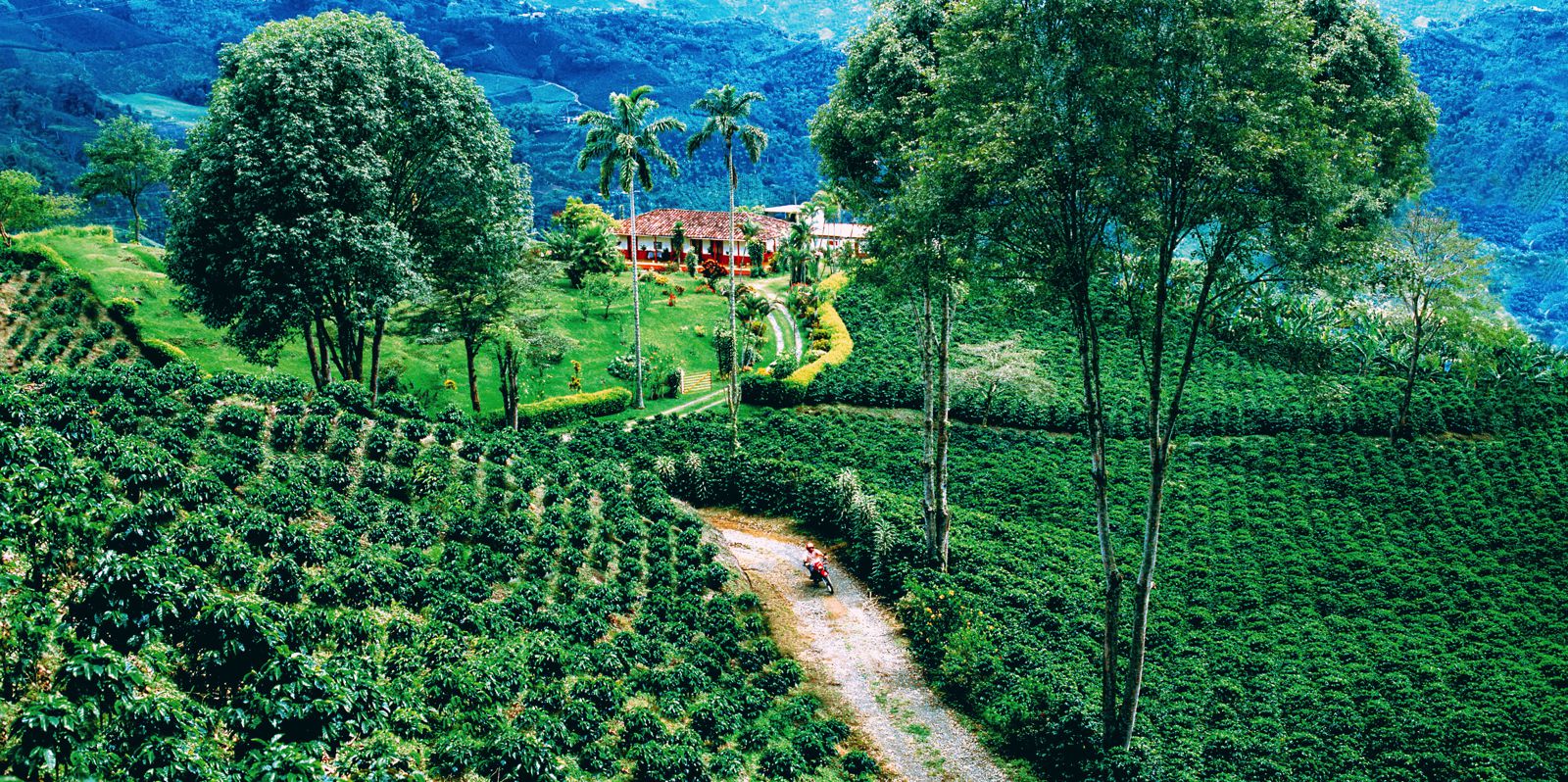 visit coffee plantation colombia