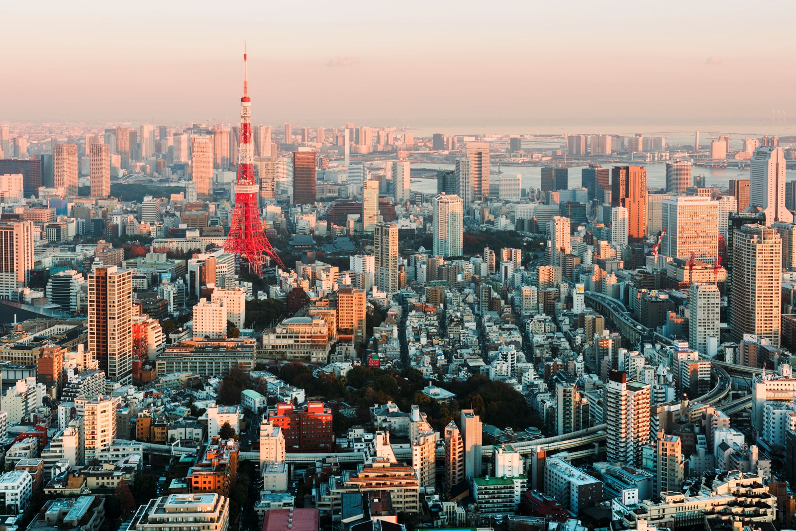 19 Very Best Things To Do In Tokyo Hand Luggage Only Travel Food And Photography Blog 