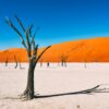 11 Very Best Places In Namibia To Visit