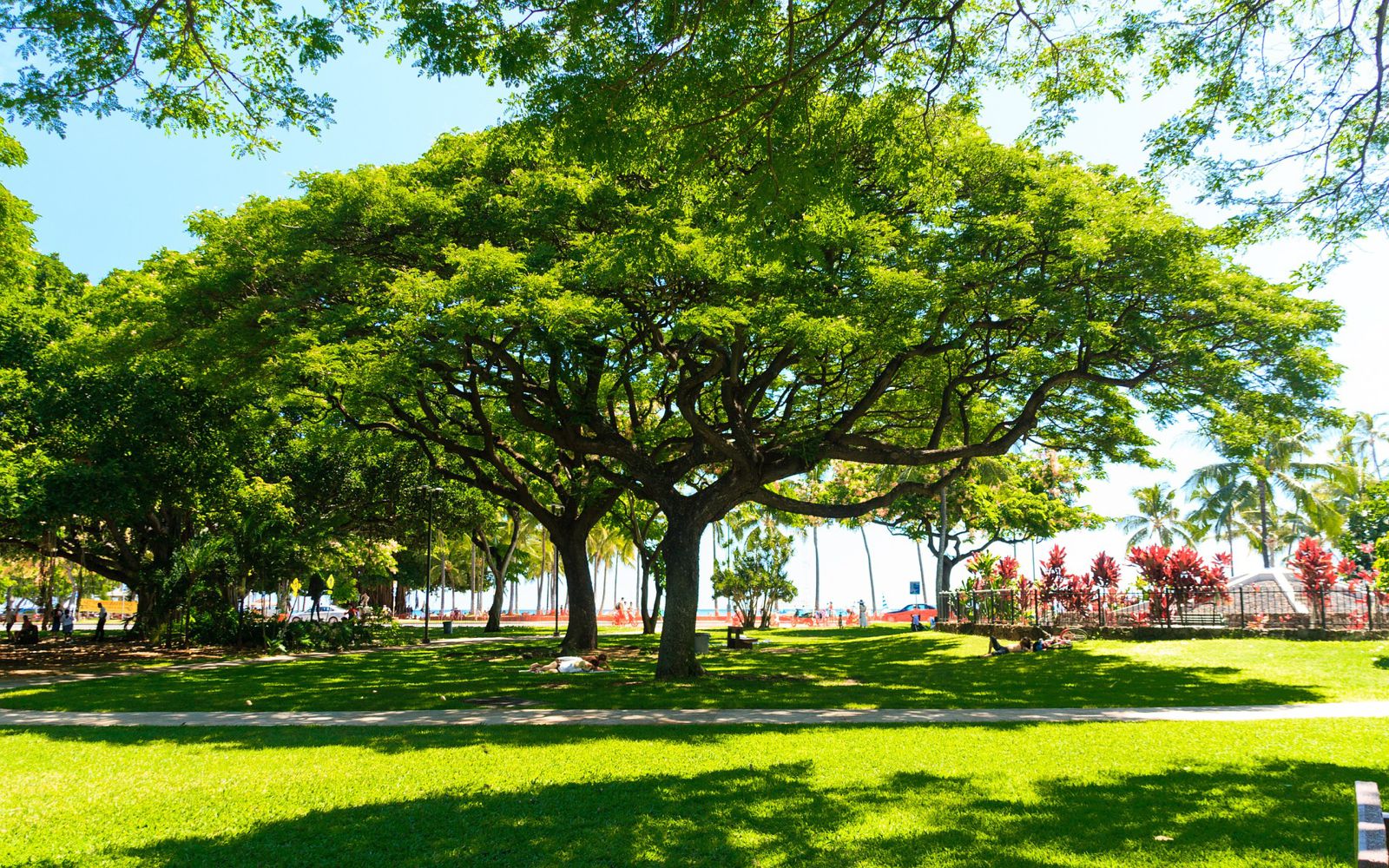 Things To See And Do When Visiting Honolulu, Hawaii (4)