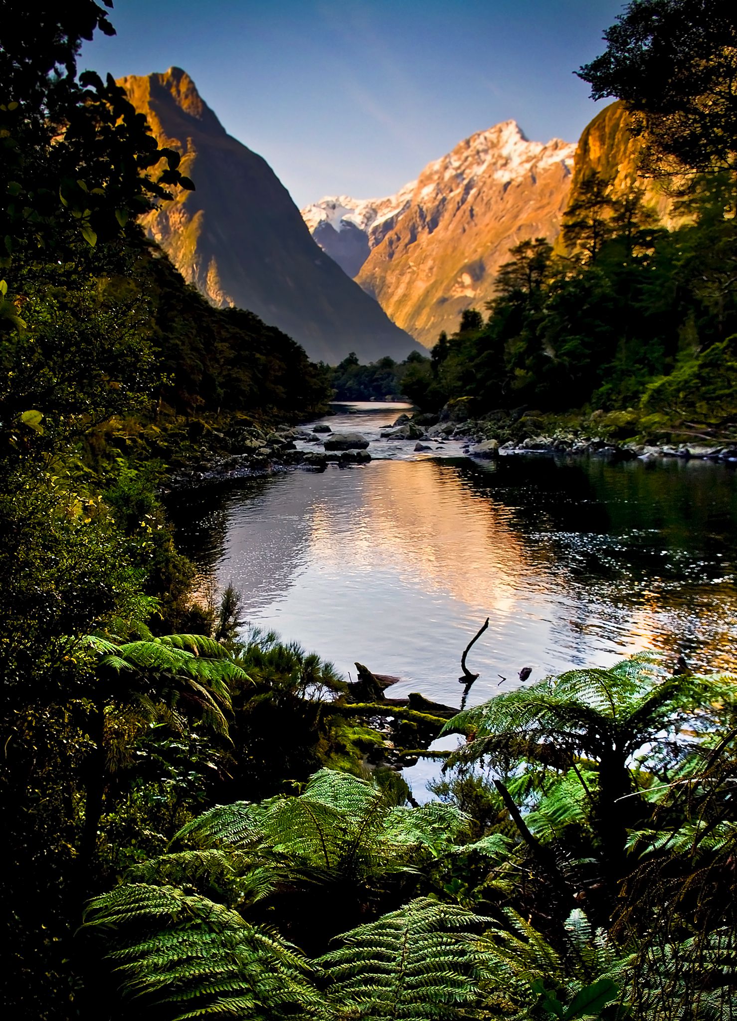 12 Very Best Things To Do In New Zealand - Hand Luggage Only - Travel