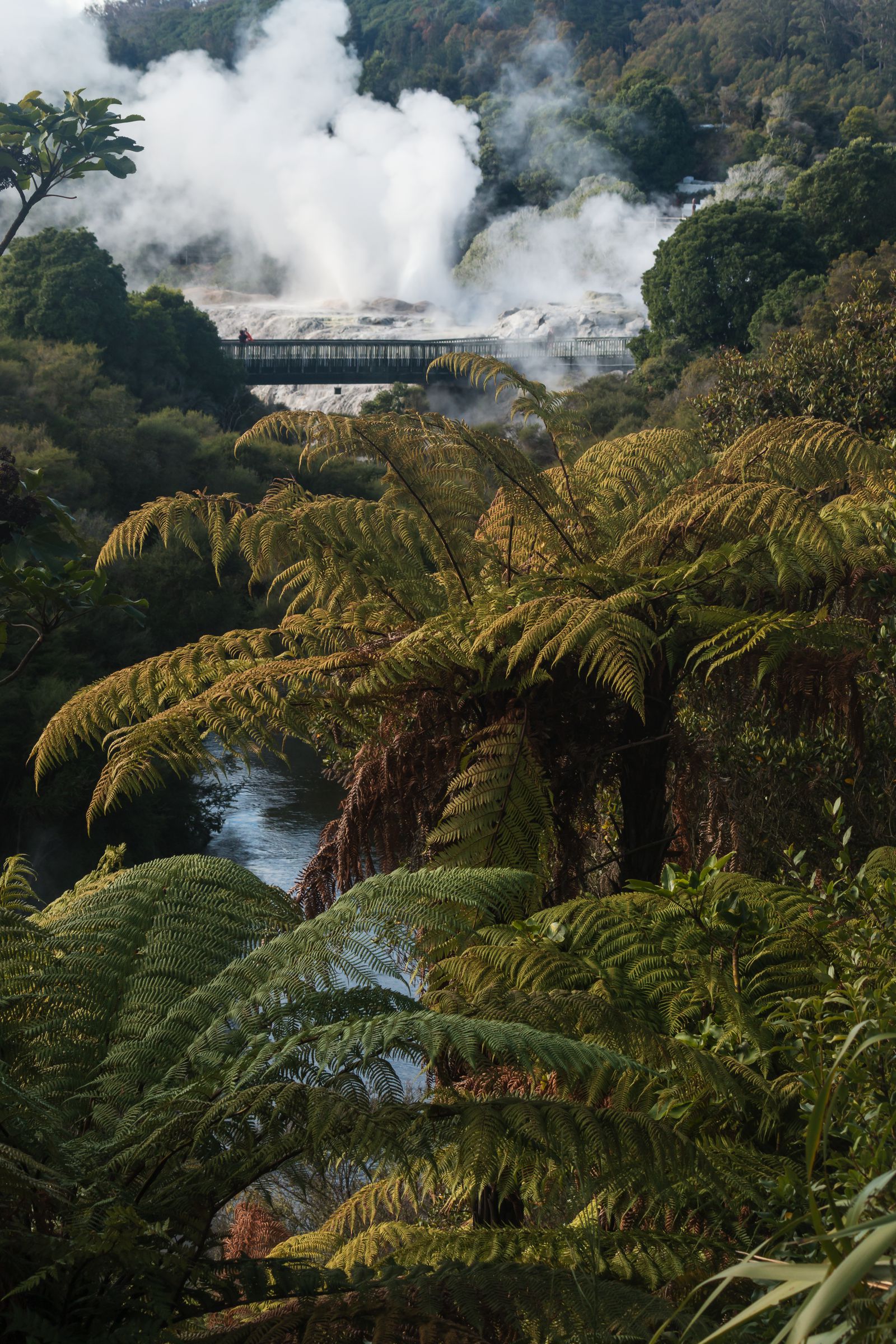 12 Very Best Things To Do In New Zealand - Hand Luggage Only - Travel