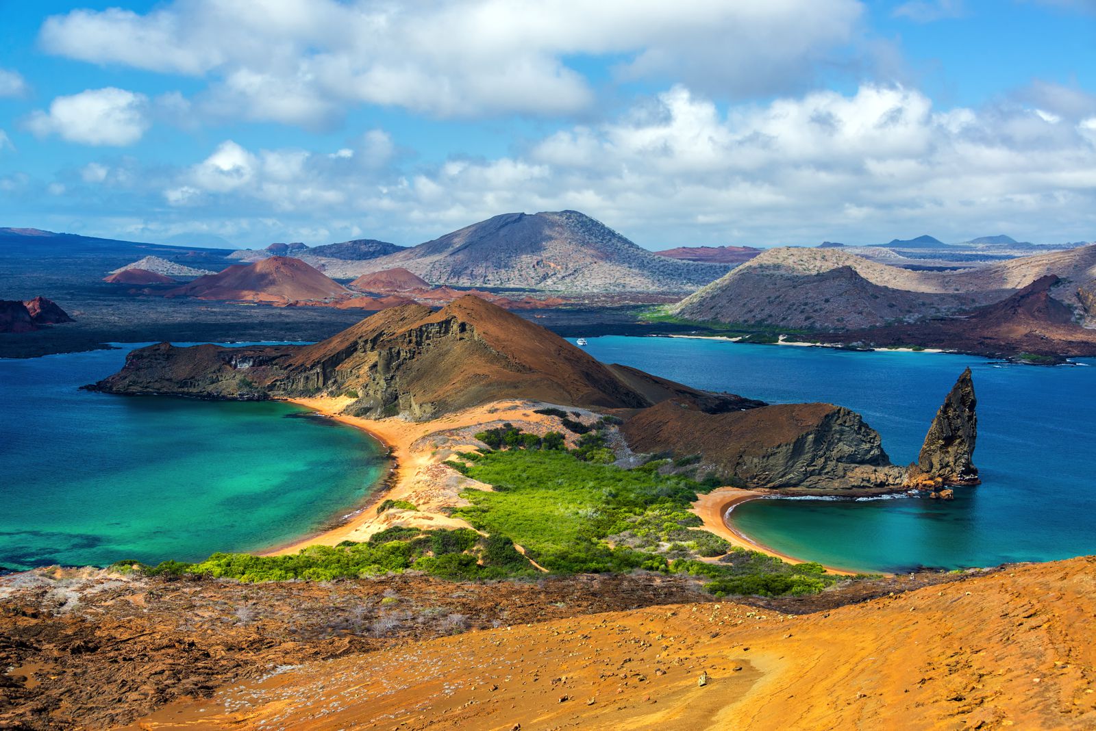 11 Unique Animals You Have To See In The Galapagos Islands, Ecuador - Hand Luggage Only - Travel ...