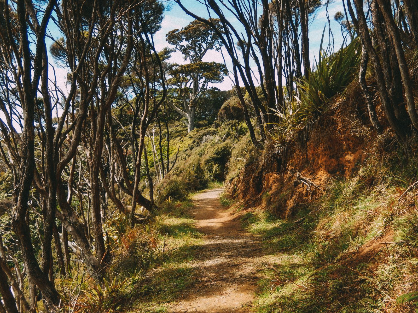 10 Absolutely Beautiful Hiking Trails You Have To Do In New Zealand