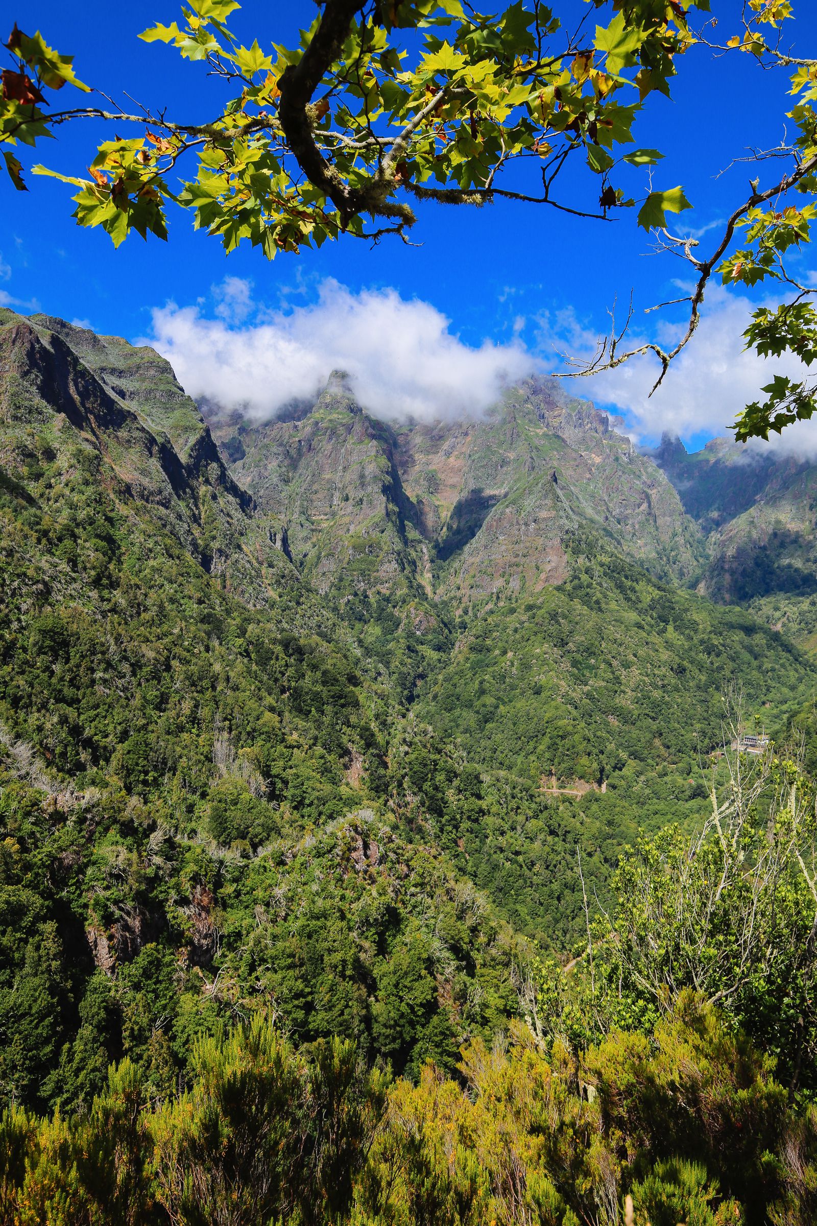 16-best-things-to-do-in-madeira-hand-luggage-only-travel-food