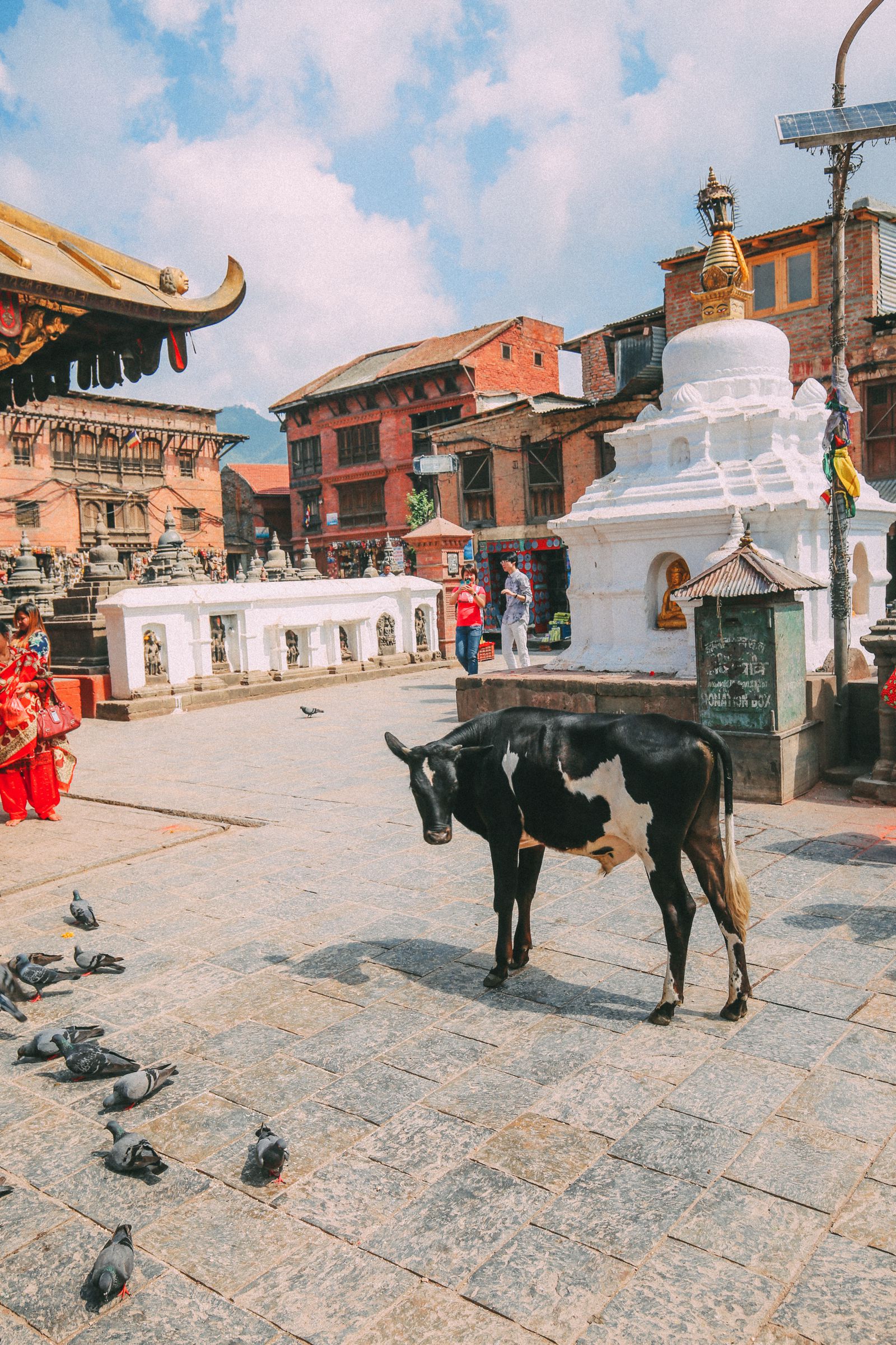 Exploring Swayambhunath Stupa - The Monkey Temple In Kathmandu, Nepal 