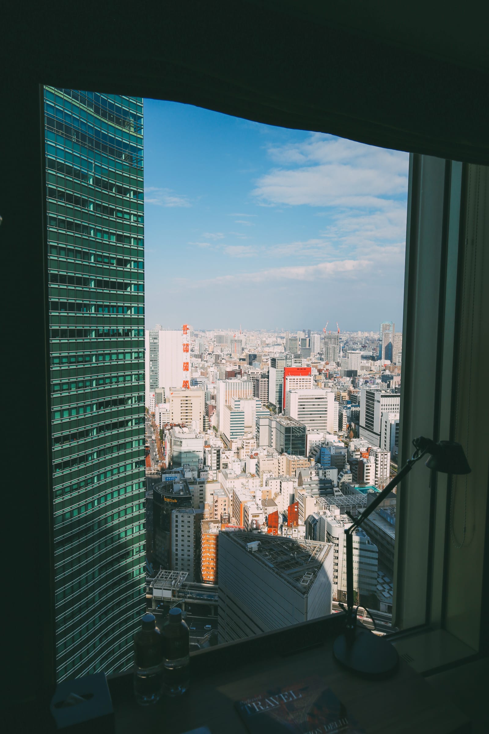 Exploring The Famous Shibuya Crossing And Dancing Robots In Tokyo 