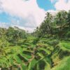 Bali Travel: Tegalalang Rice Terrace In Ubud And Gunung Kawi Temple
