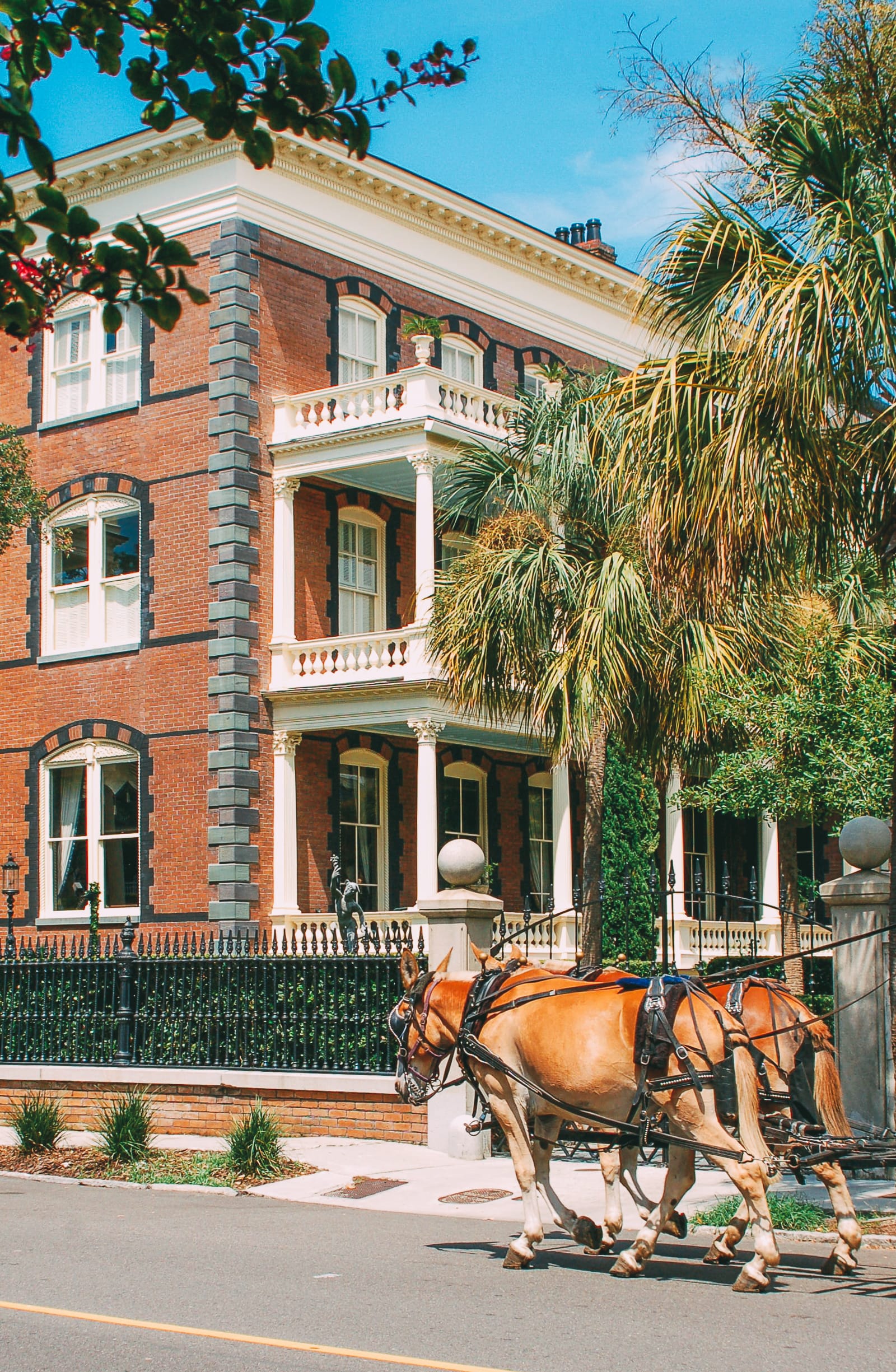 9 Best Things To Do In Charleston - South Carolina - Hand Luggage Only ...