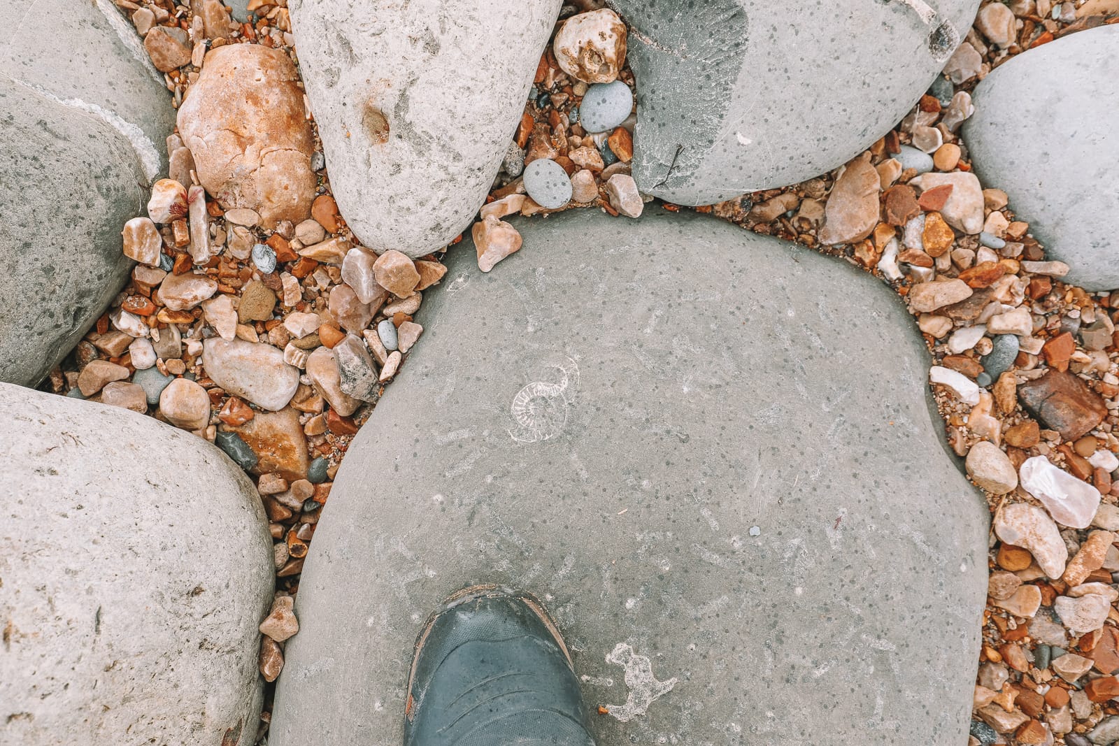 Searching For Dinosaurs And Fossils On The Jurassic Coast Of England ...