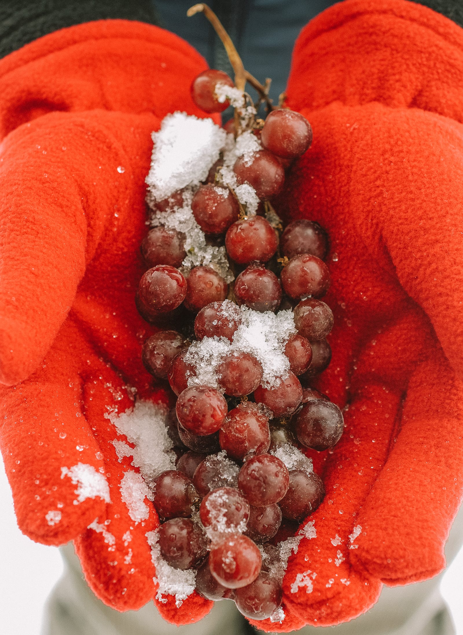 9 Vineyards To Visit For Ice Wine In Canada Hand Luggage