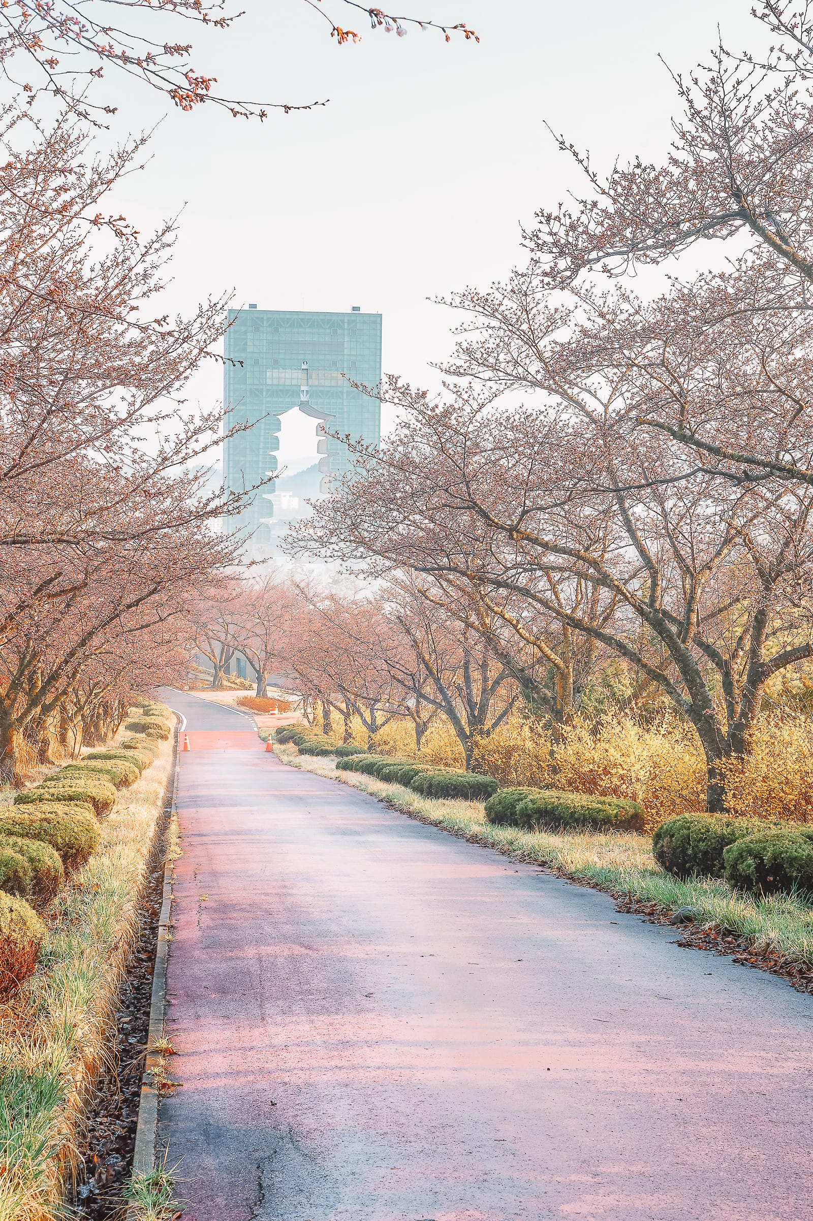 Best Places In South Korea To Visit Hand Luggage Only Travel Food Photography Blog