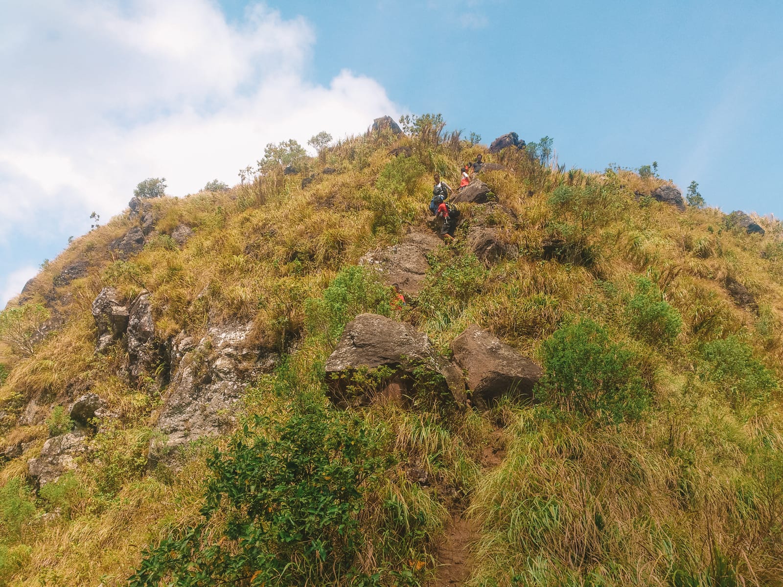 The 12 Best Hikes In The Philippines You Have To Experience (7)