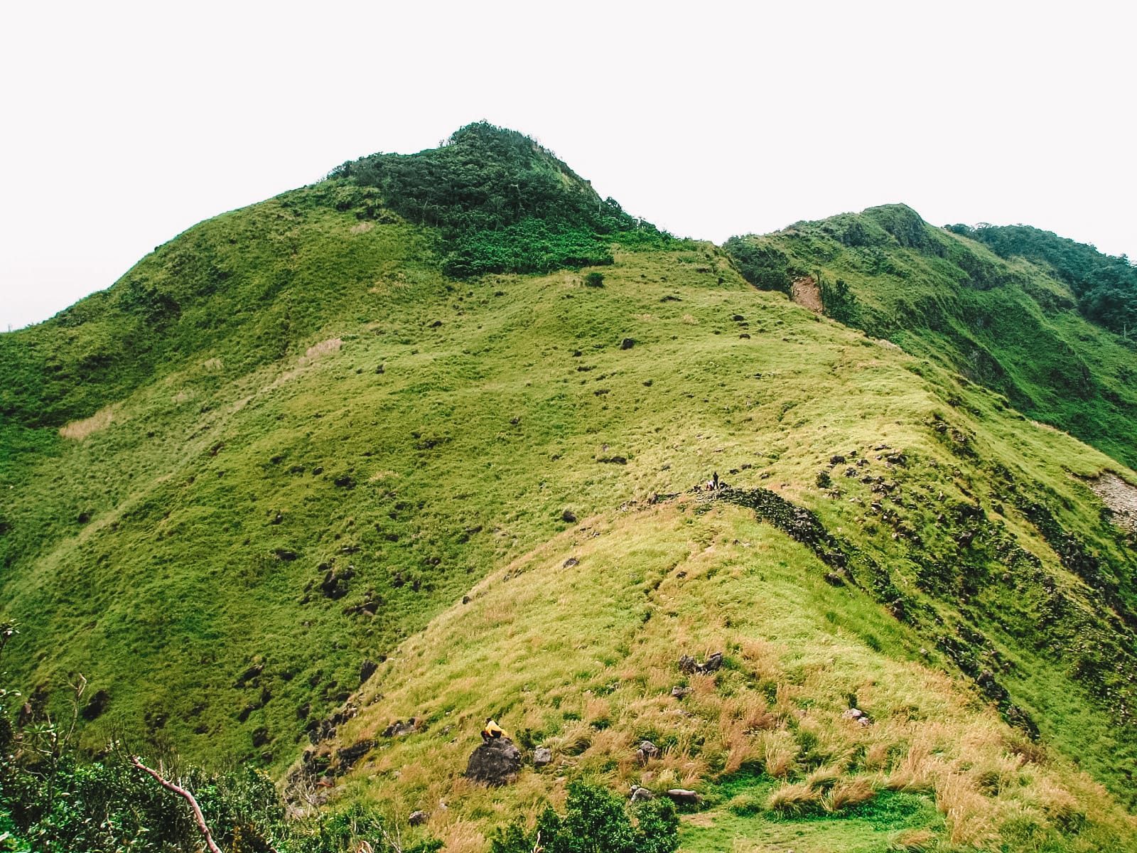 The 12 Best Hikes In The Philippines You Have To Experience (15)