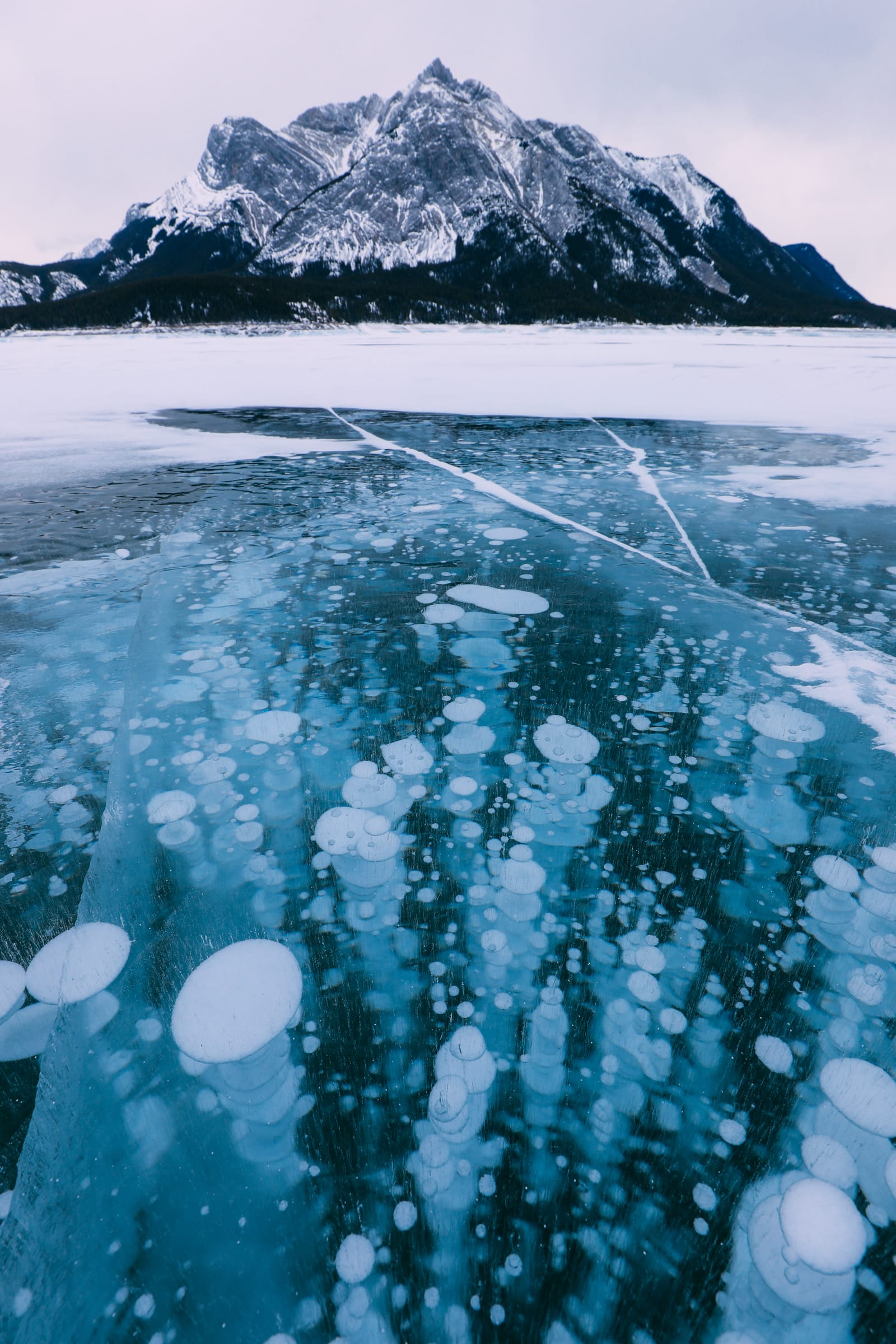 Driving Canada's Epic Icefields Parkway And Finding The Frozen Bubbles Of Abraham Lake (32)