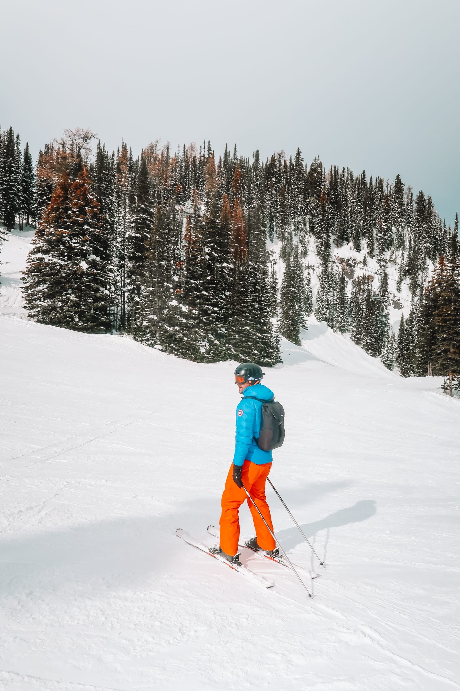 Finding Wild Moose And Skiing In Sunshine Village... In Banff, Canada (16)