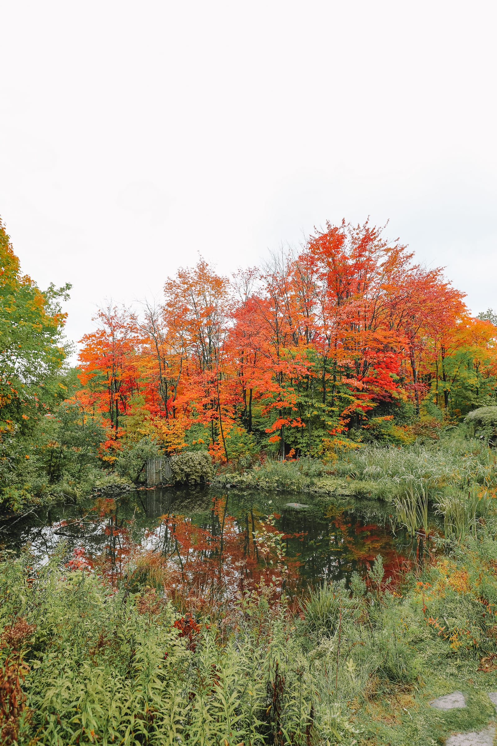 Exploring Sacacomie - Quebec's Stunning 'Hidden' Gem (7)