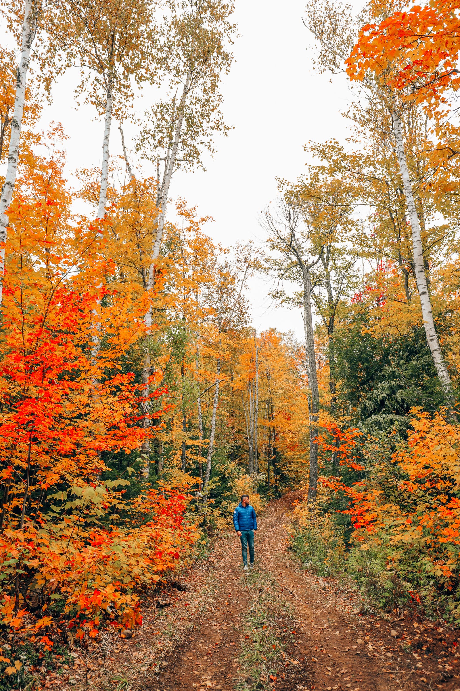 Exploring Sacacomie - Quebec's Stunning 'Hidden' Gem (41)