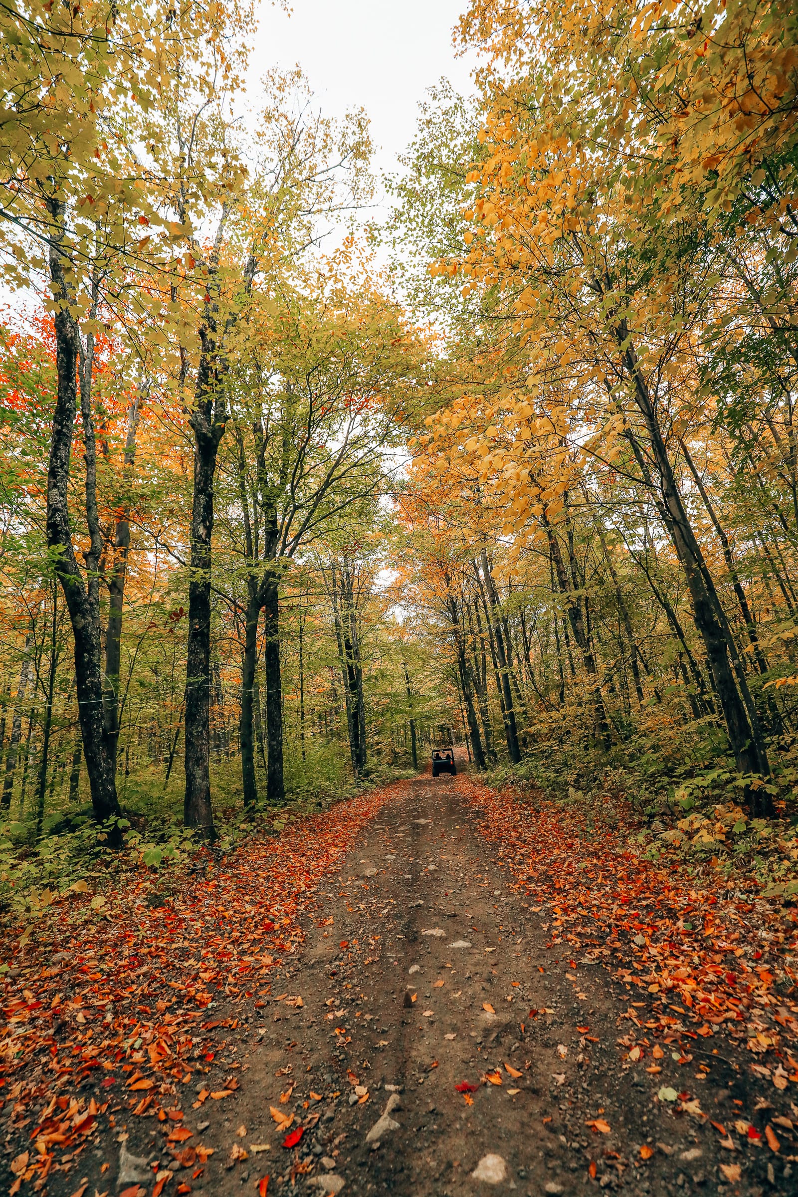 Exploring Sacacomie - Quebec's Stunning 'Hidden' Gem (43)