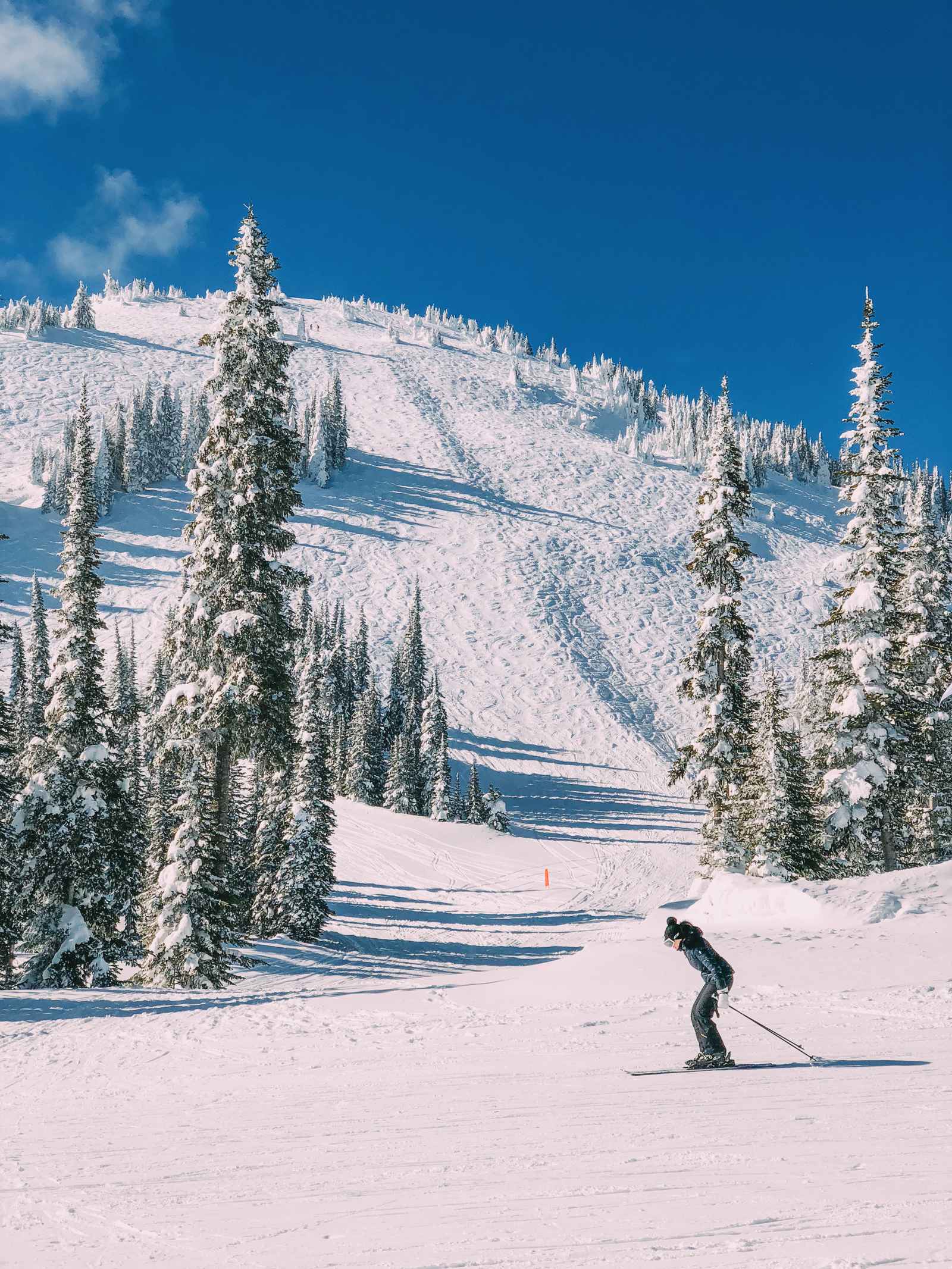 10 Beautiful And Best Places To Ski This Year (4)