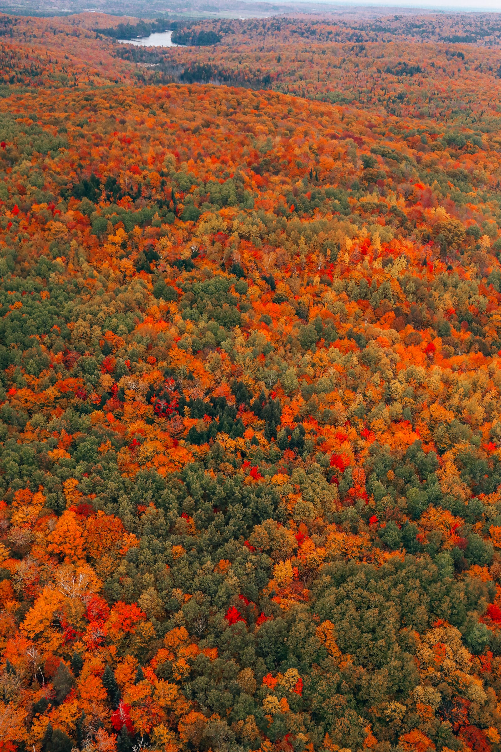 This Is One Of The Best View In All Of Quebec, Canada (14)