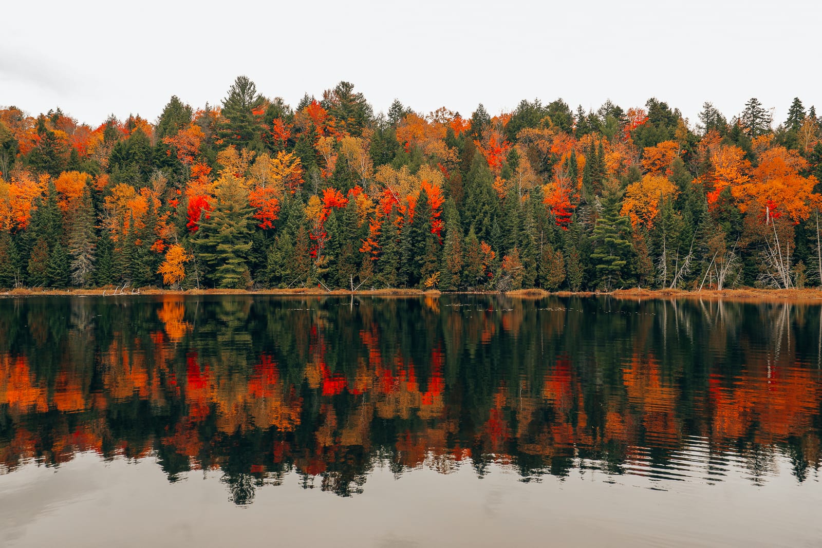 This Is One Of The Best View In All Of Quebec, Canada (27)