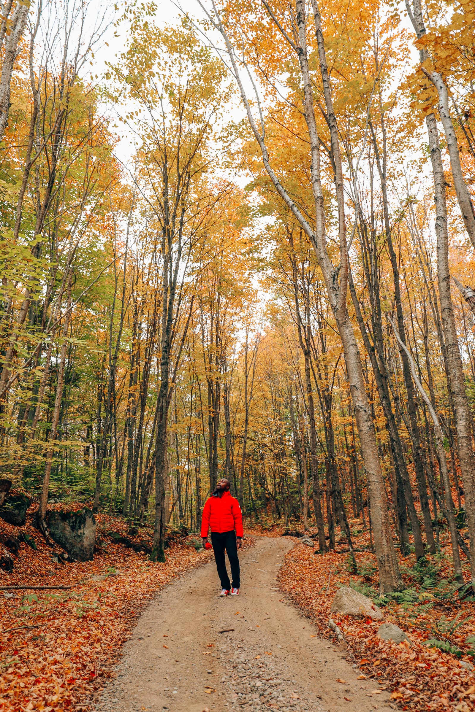 This Is One Of The Best View In All Of Quebec, Canada (28)