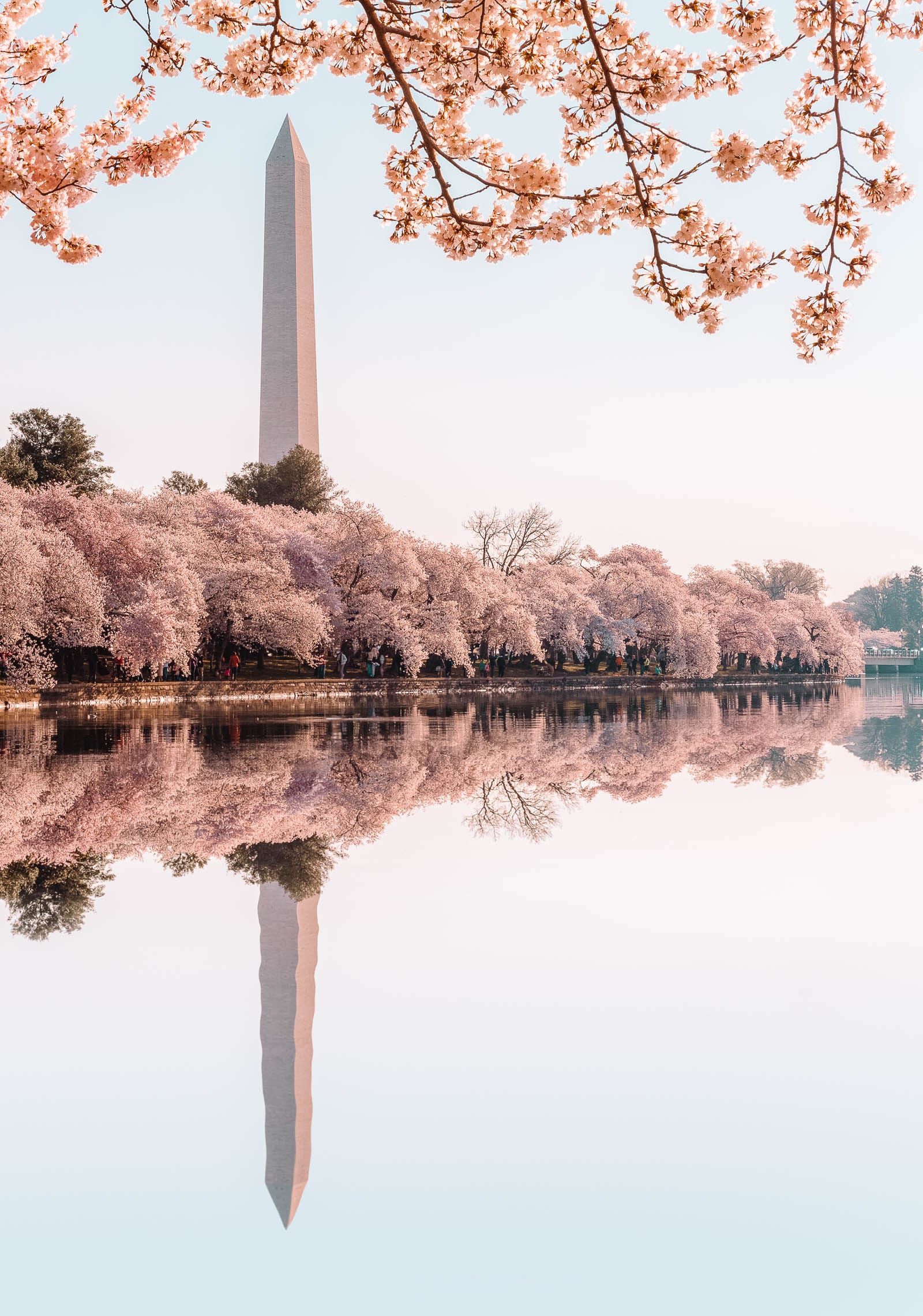 9 Mejores Lugares Que Ver En Washington D.C. | Alai