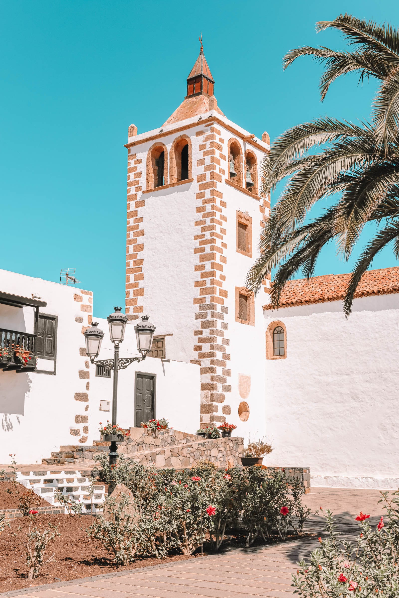 14 Best Things To Do In Fuerteventura (5)
