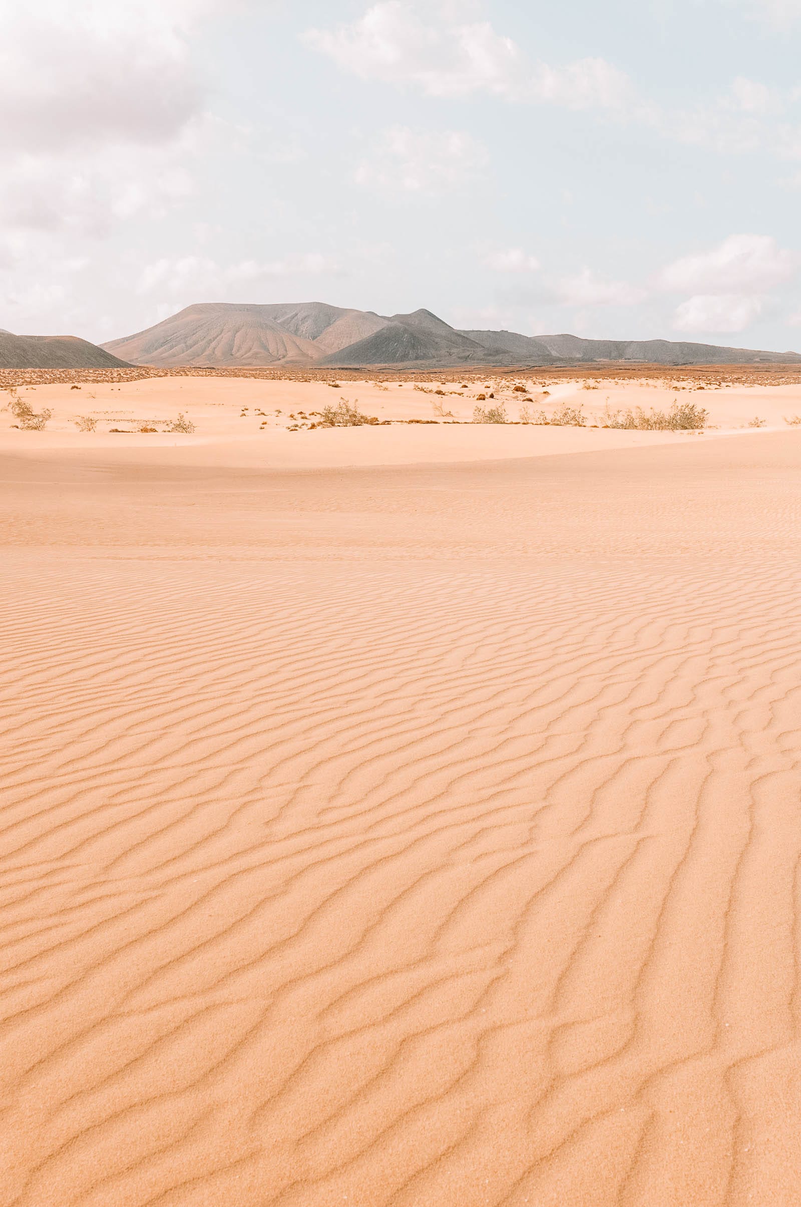 14 Best Things To Do In Fuerteventura (8)