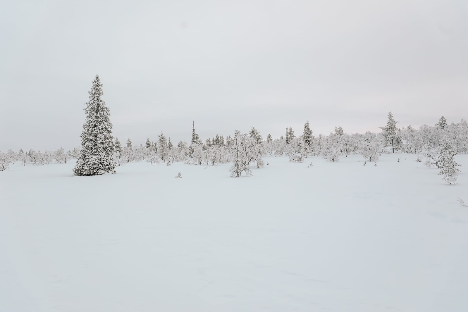 The First 24 Hours In Lapland, Finland (16)