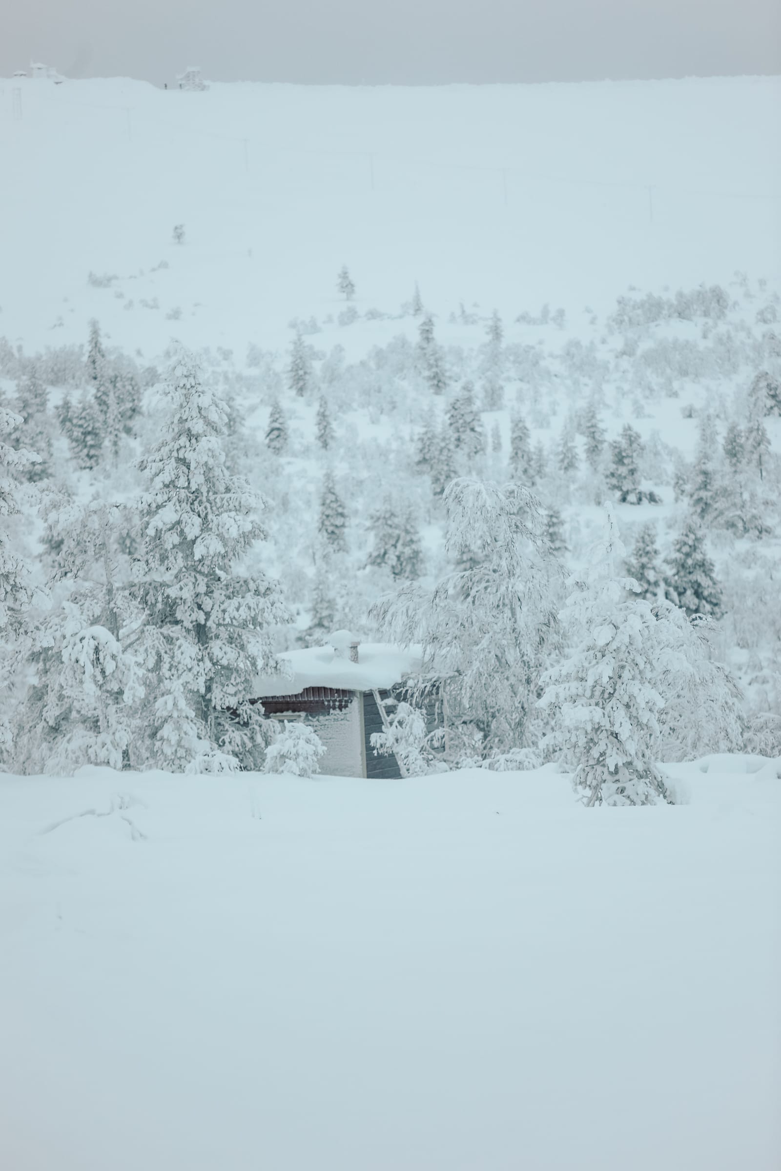 The First 24 Hours In Lapland, Finland (20)