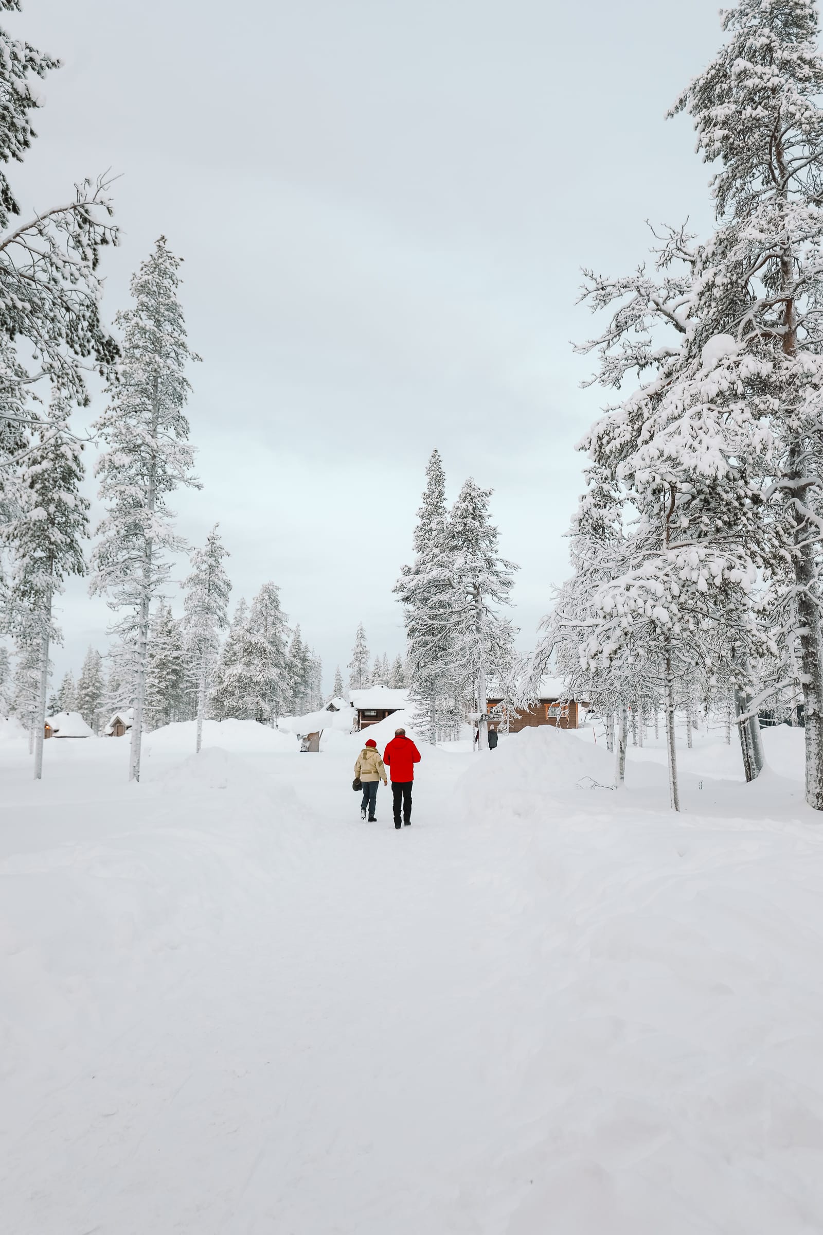 The Northern Lights Village And Star Arctic... In Lapland, Finland (7)