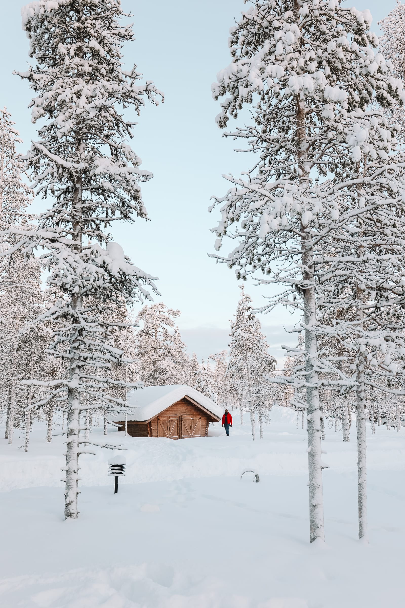 The Northern Lights Village And Star Arctic... In Lapland, Finland (23)