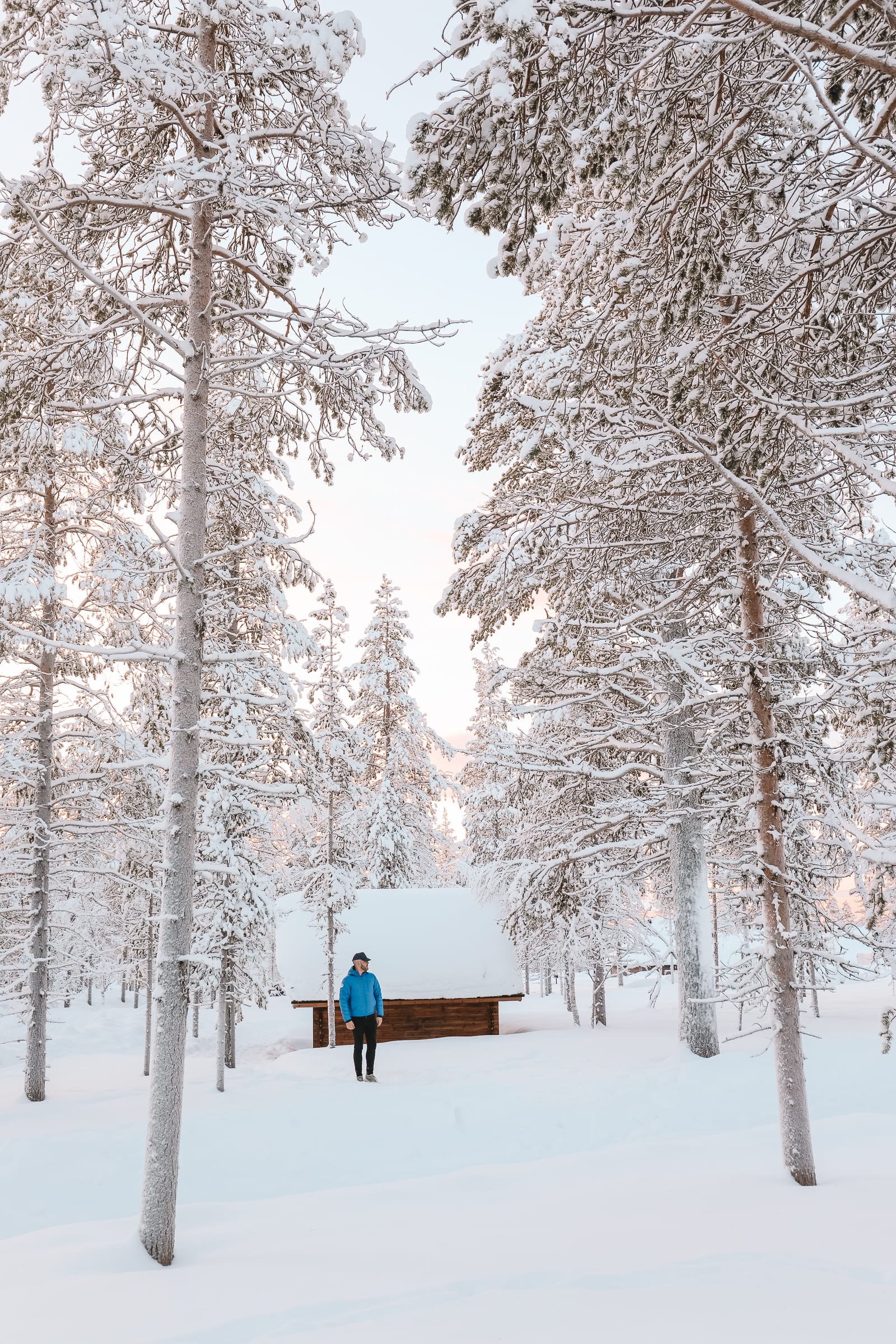 The Northern Lights Village And Star Arctic... In Lapland, Finland (24)