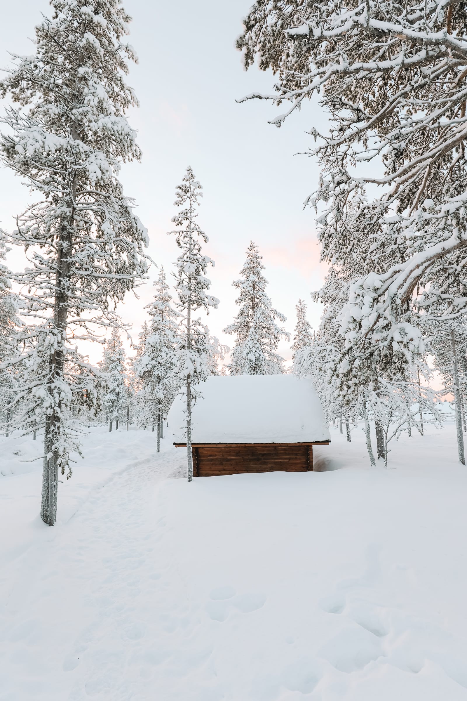 The Northern Lights Village And Star Arctic... In Lapland, Finland (30)